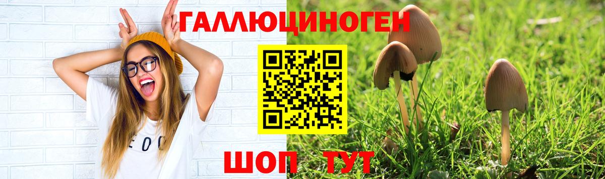 Псилоцибиновые грибы ЛСД Павловский Посад