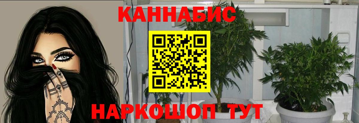Бошки Шишки VHQ Павловский Посад